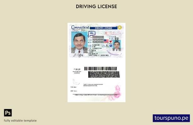 Plantilla de licencia de conducir de Connecticut de EE. UU. lista para imprimir
